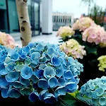 Open Garden Hostel *
