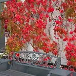 Hostel Open Garden