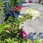 Hostel Open Garden Ζεστοκόβα