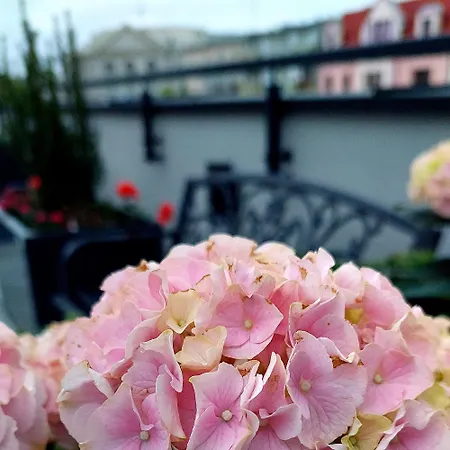 Open Garden Auberge de jeunesse