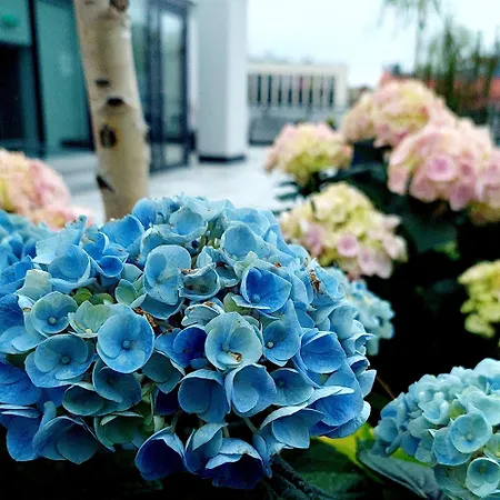 Open Garden Hostel *
