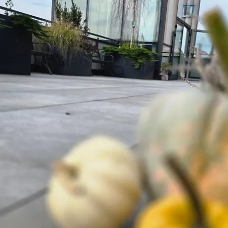 بيت شباب Open Garden *