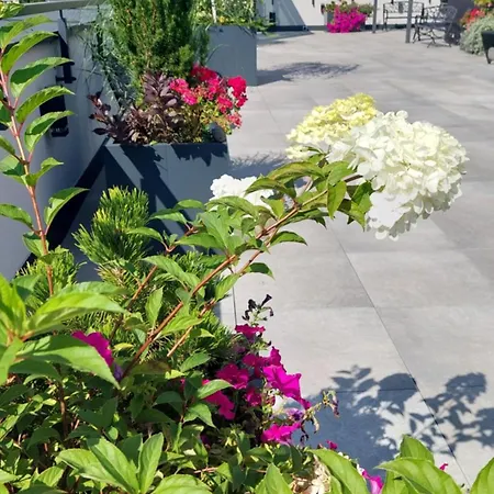 Hostel Open Garden Čenstochová