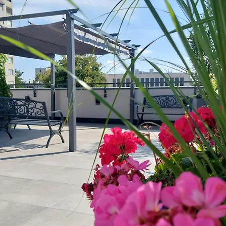 Open Garden Auberge de jeunesse