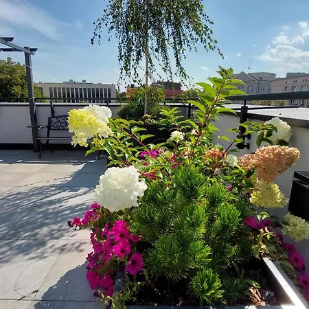 Hostel Open Garden