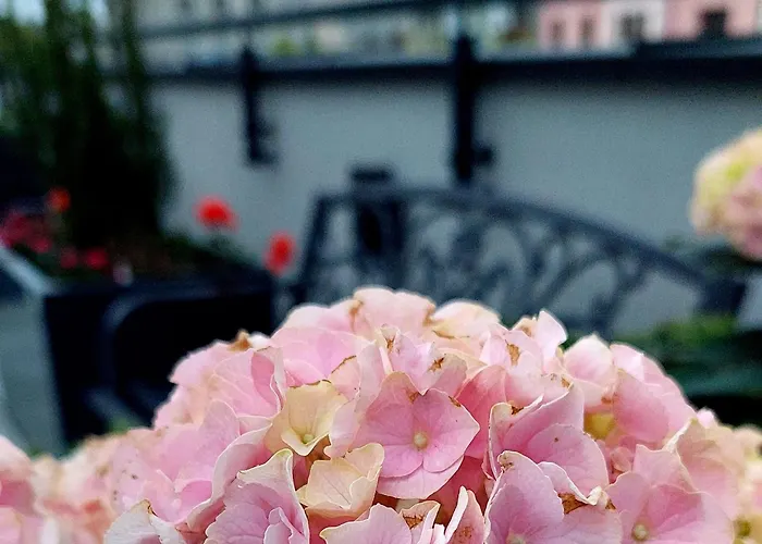 Open Garden Vandrarhem