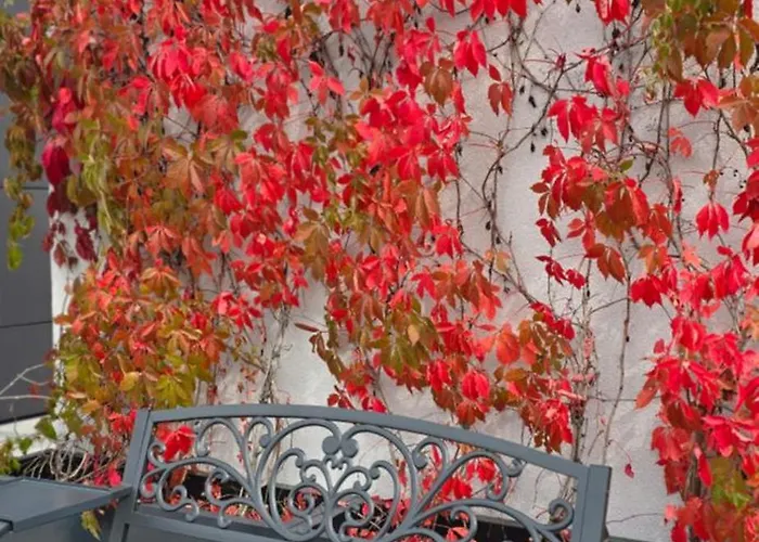 Auberge de jeunesse Open Garden