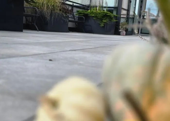 Vandrarhem Open Garden *