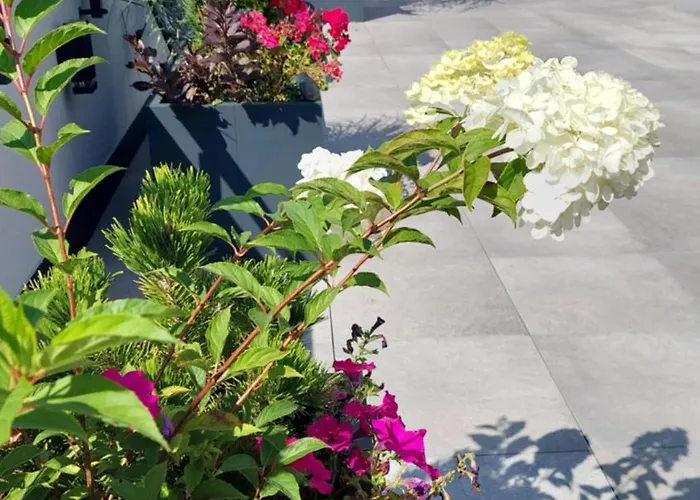 Vandrarhem Open Garden Częstochowa