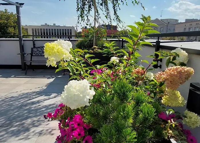 Auberge de jeunesse Open Garden